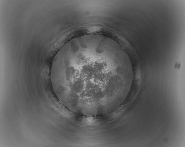 X0000112020565200908031400