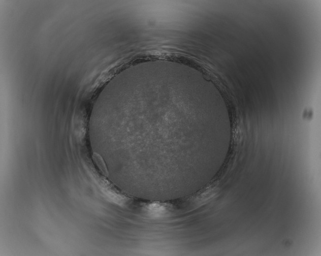 X0000112020566200908031400