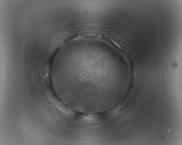 X0000112020567200908031400