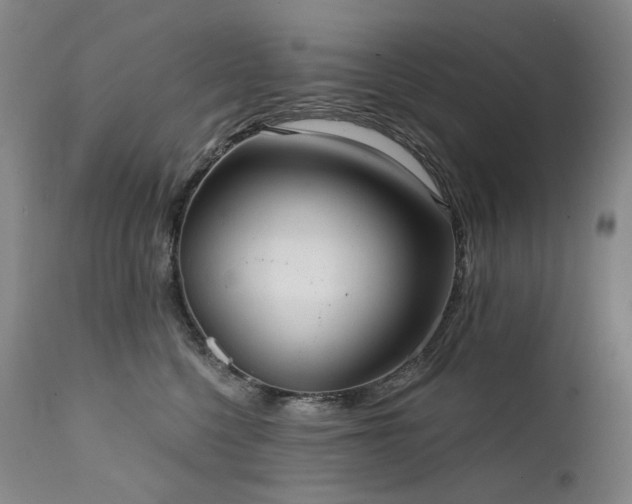 X0000112020568200908031400