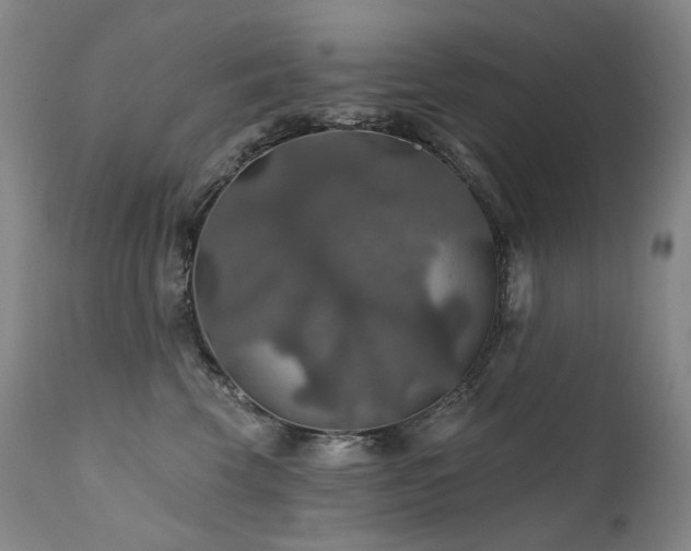 X0000112020569200908031400