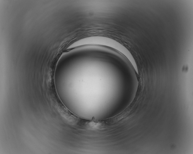 X0000112020570200908031400