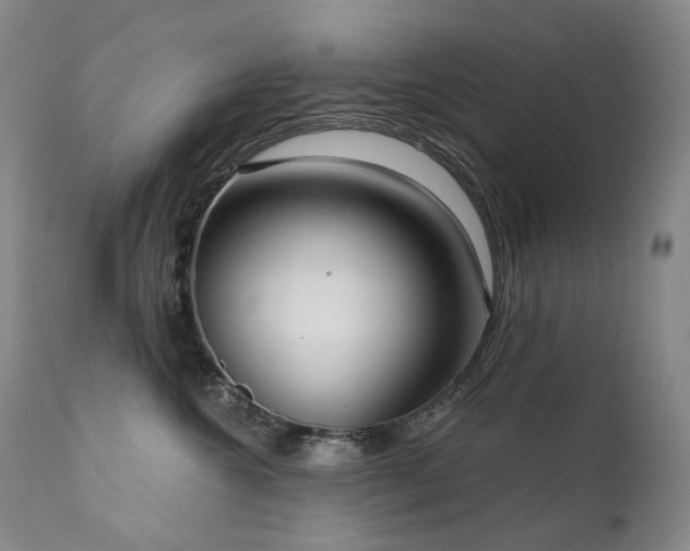 X0000112020572200908031400