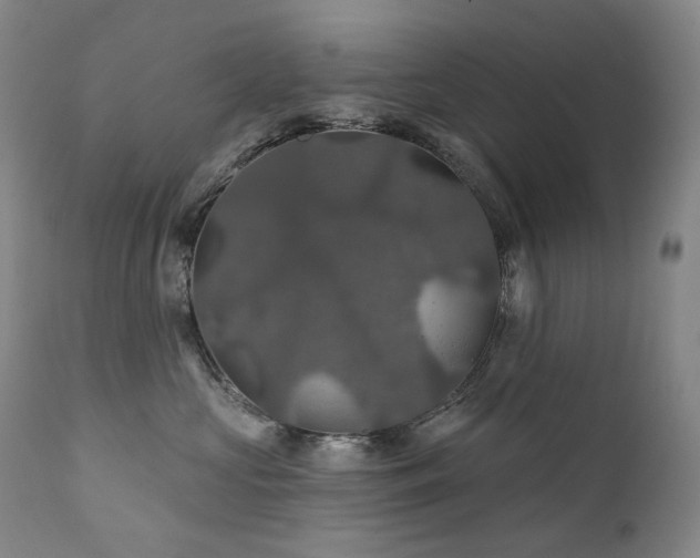 X0000112020573200908031400