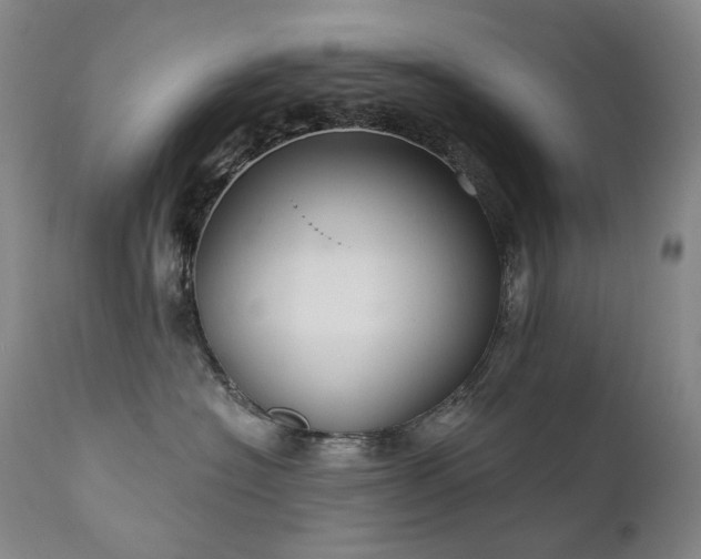 X0000112020574200908031400