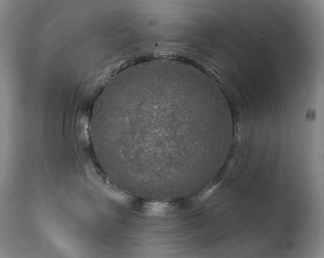 X0000112020575200908031400