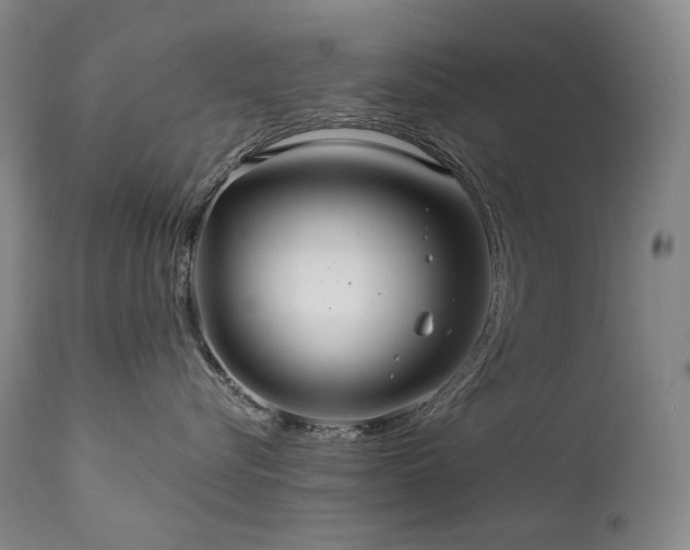 X0000112020576200908031400