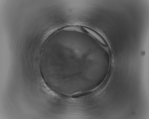 X0000112020577200908031359