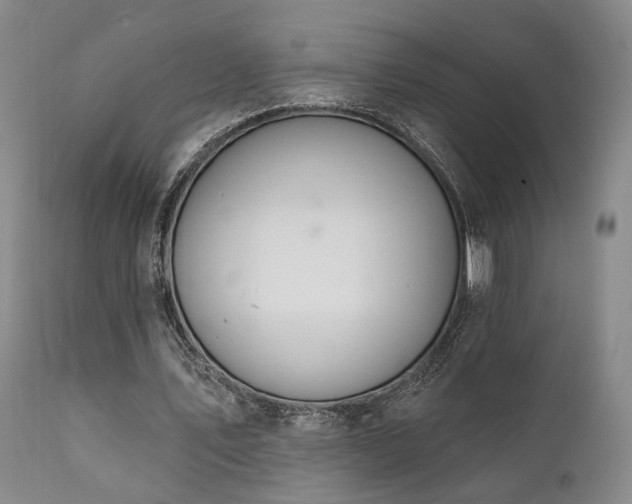 X0000112020579200908031359