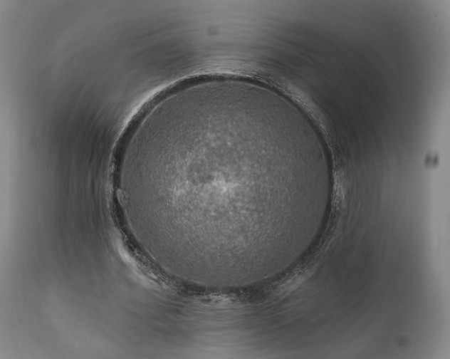 X0000112020580200908031359