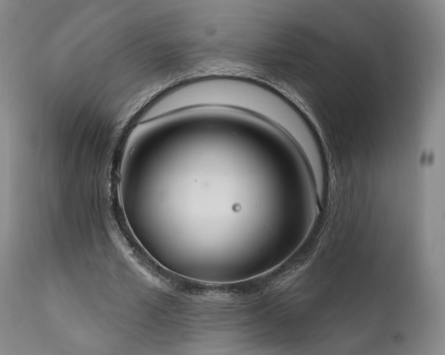 X0000112020581200908031359