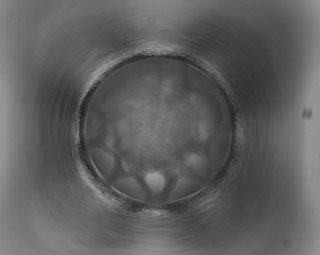 X0000112020582200908031359