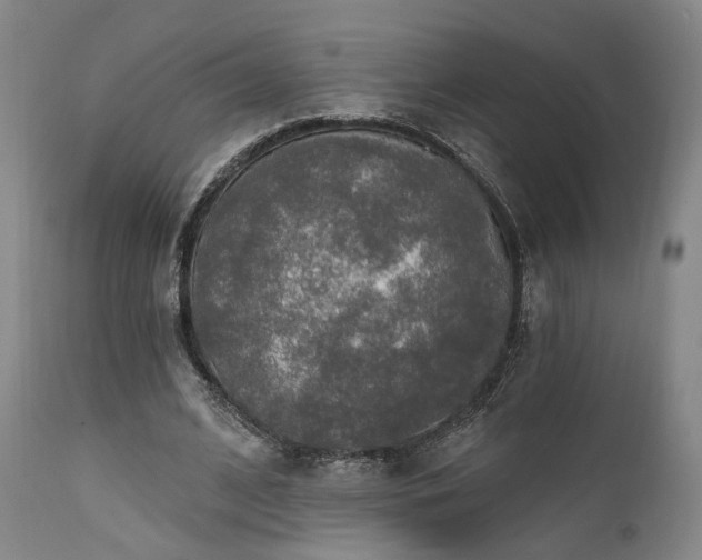 X0000112020584200908031359