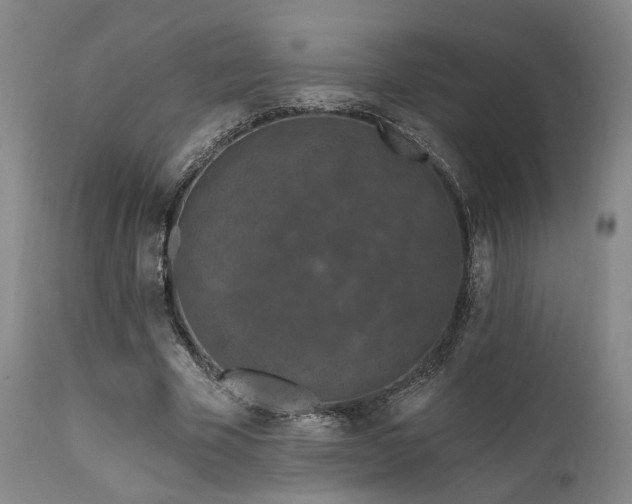 X0000112020585200908031359