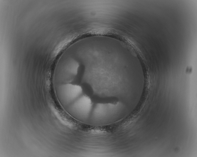 X0000112020586200908031359