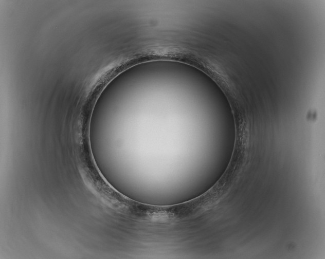 X0000112020587200908031359