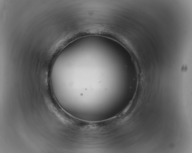 X0000112020589200908031359