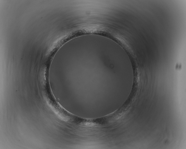 X0000112020590200908031359