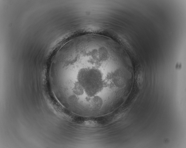 X0000112020591200908031359