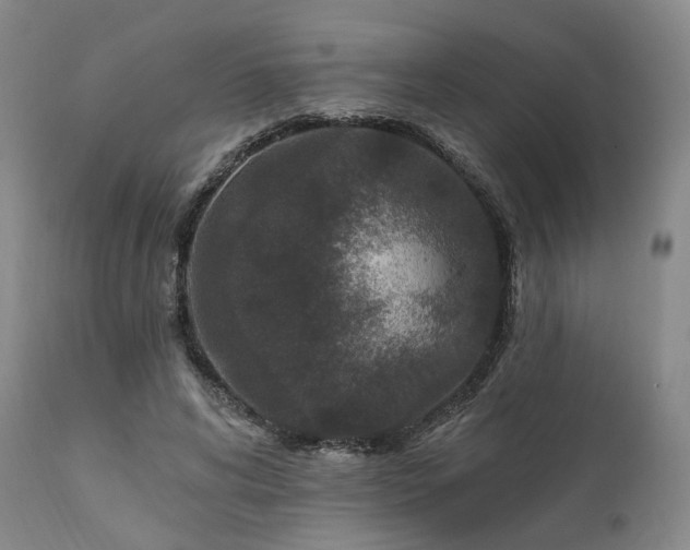 X0000112020592200908031359