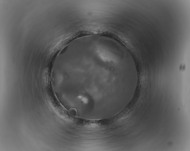 X0000112020594200908031359