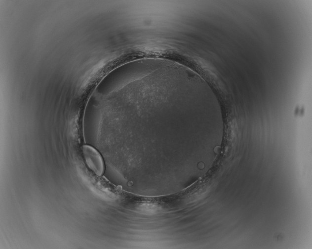 X0000112020596200908031359