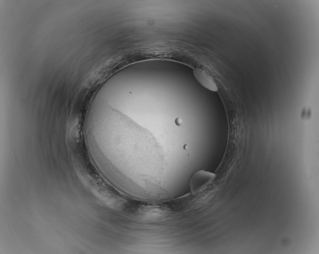 X0000112020597200908031359