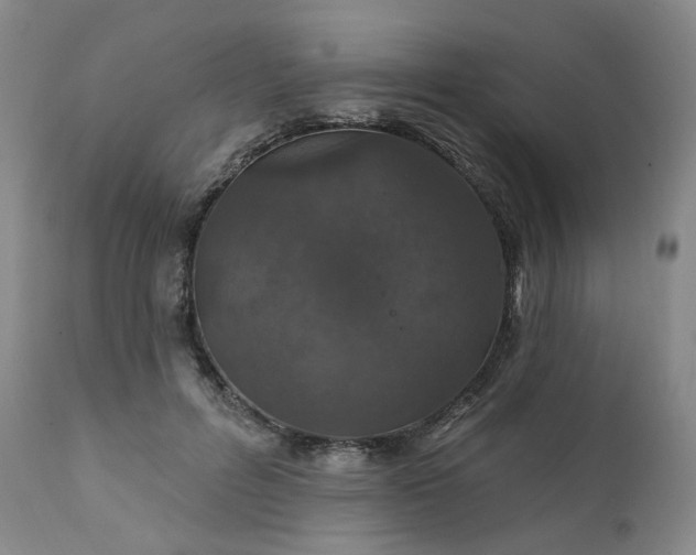 X0000112020600200908031359