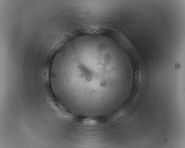 X0000112020602200908031359