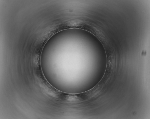 X0000112020605200908031359