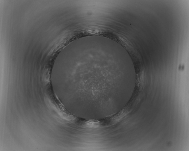 X0000112020606200908031359