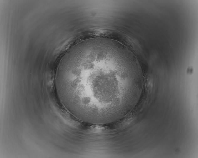 X0000112020607200908031359