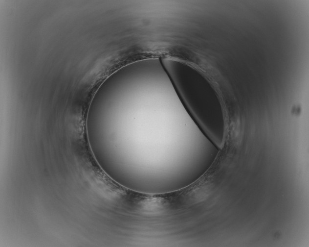 X0000112020609200908031359