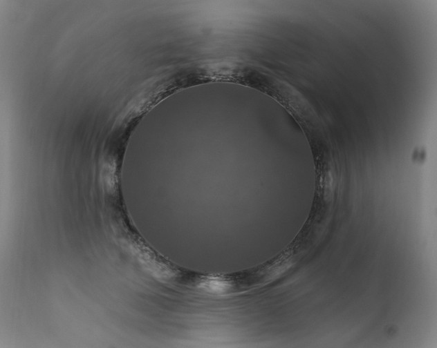 X0000112020610200908031359