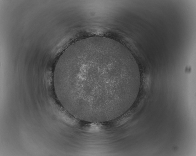 X0000112020612200908031359