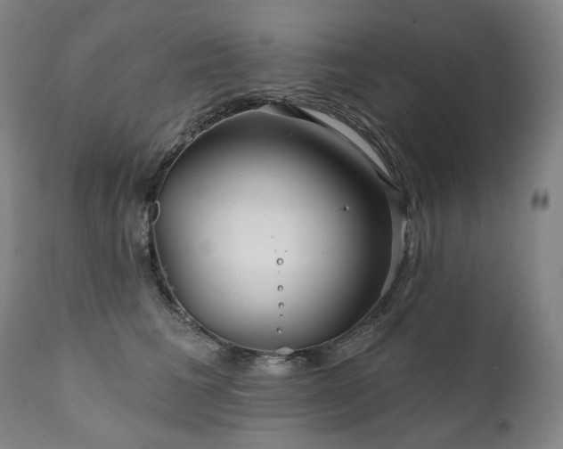 X0000112020613200908031359