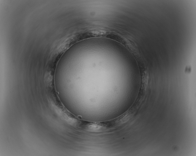 X0000112020614200908031359