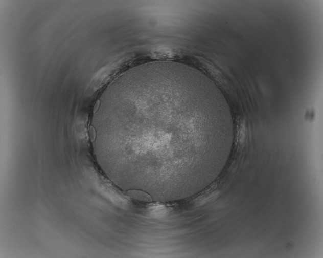 X0000112020616200908031359