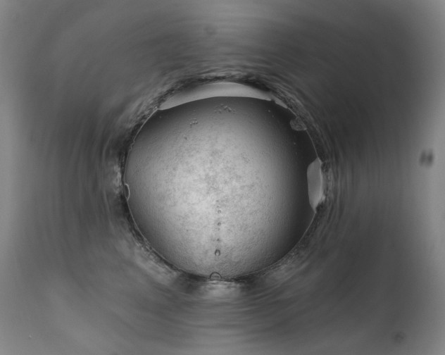 X0000112020617200908031359