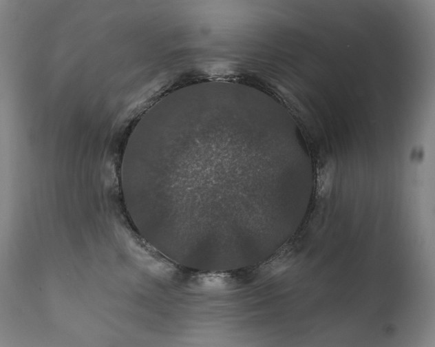 X0000112020618200908031359