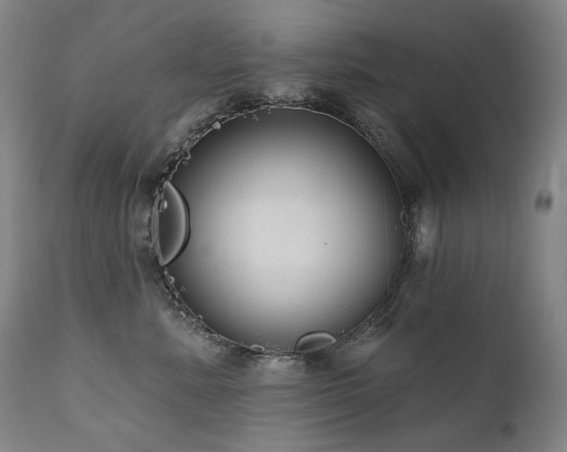 X0000112020619200908031359