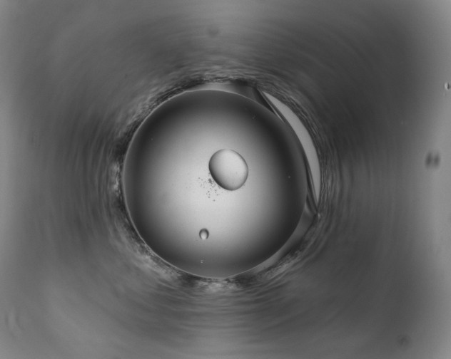 X0000112020621200908031359