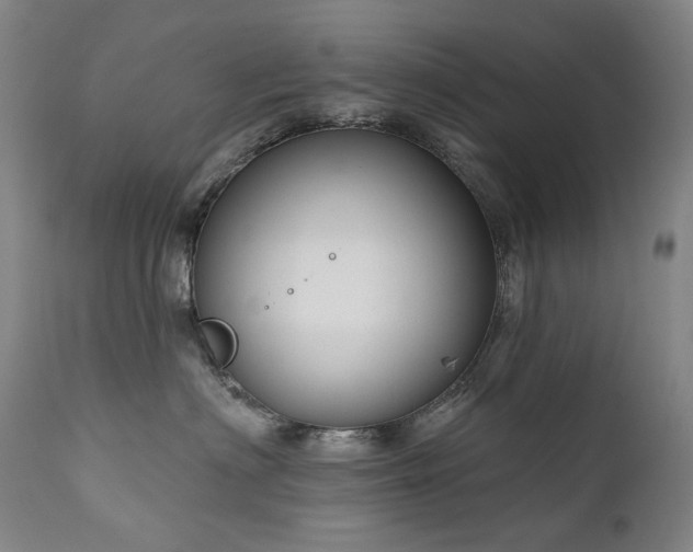 X0000112020622200908031359