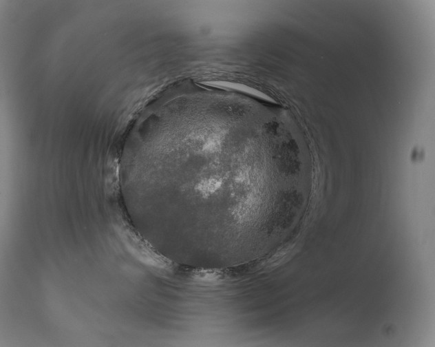 X0000112020624200908031359