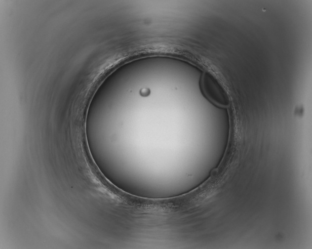 X0000112020625200908031358