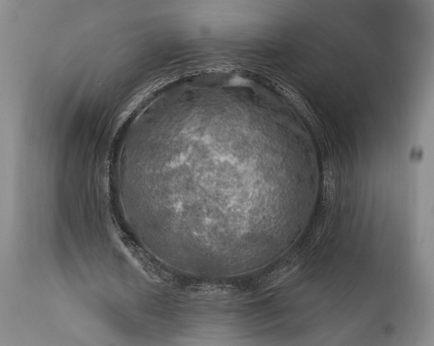 X0000112020626200908031358