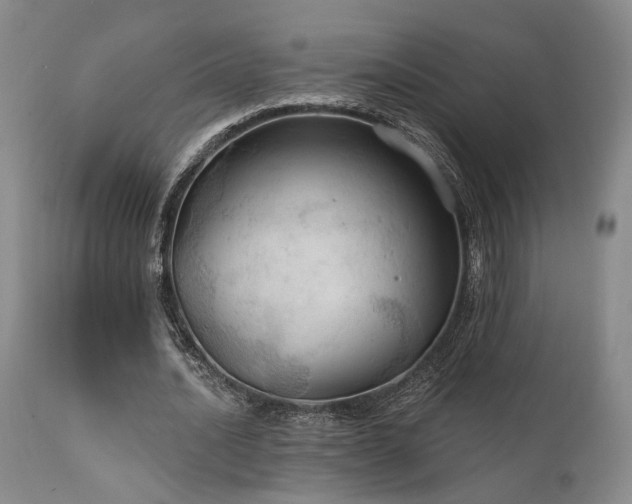 X0000112020628200908031358