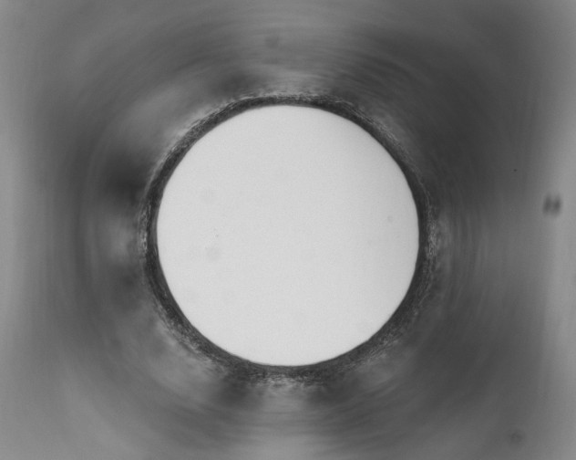 X0000112020632200908031358