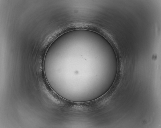 X0000112020633200908031358