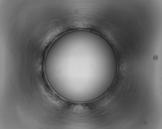 X0000112020635200908031358